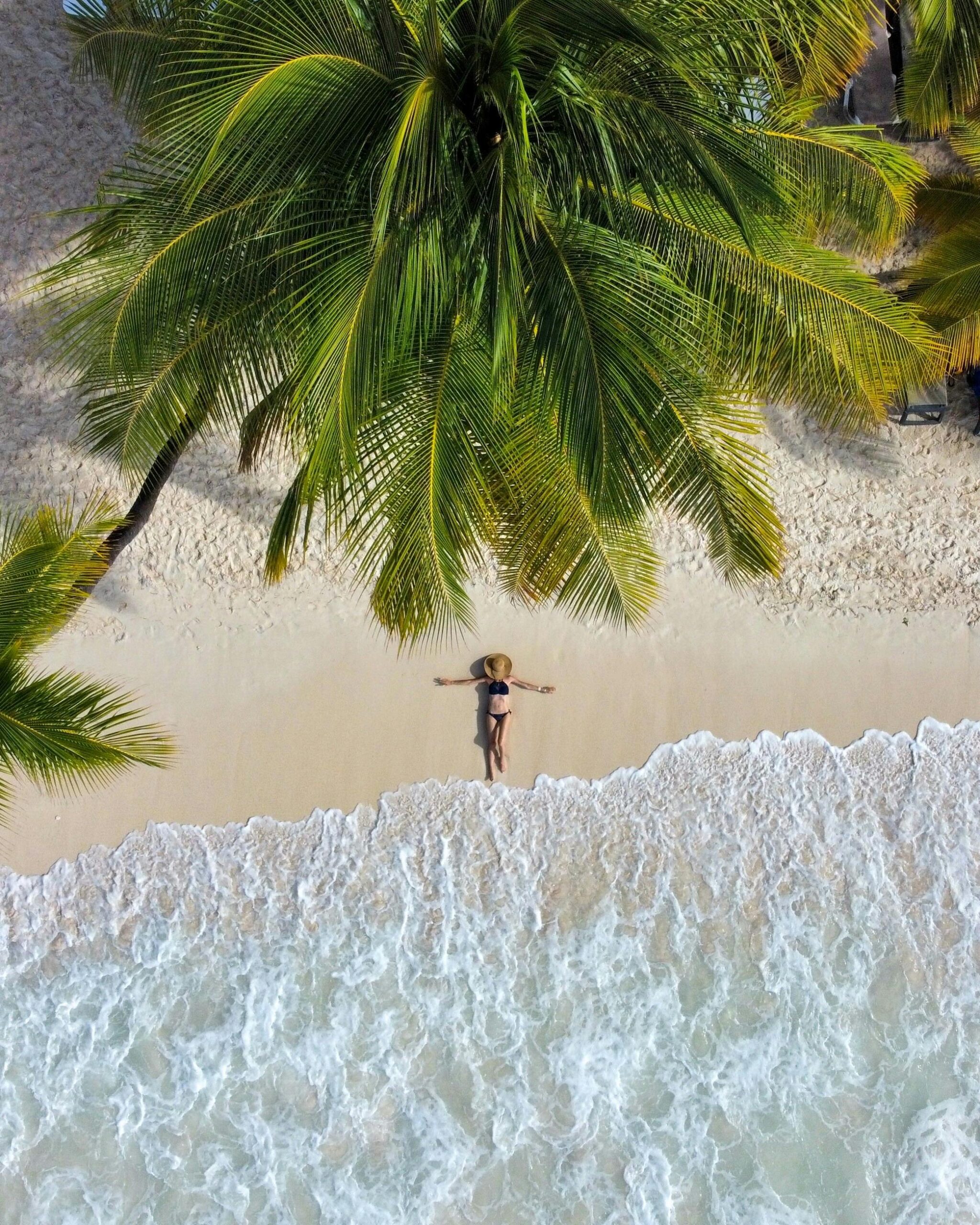 free photo of woman lying down under palm tree on beach scaled