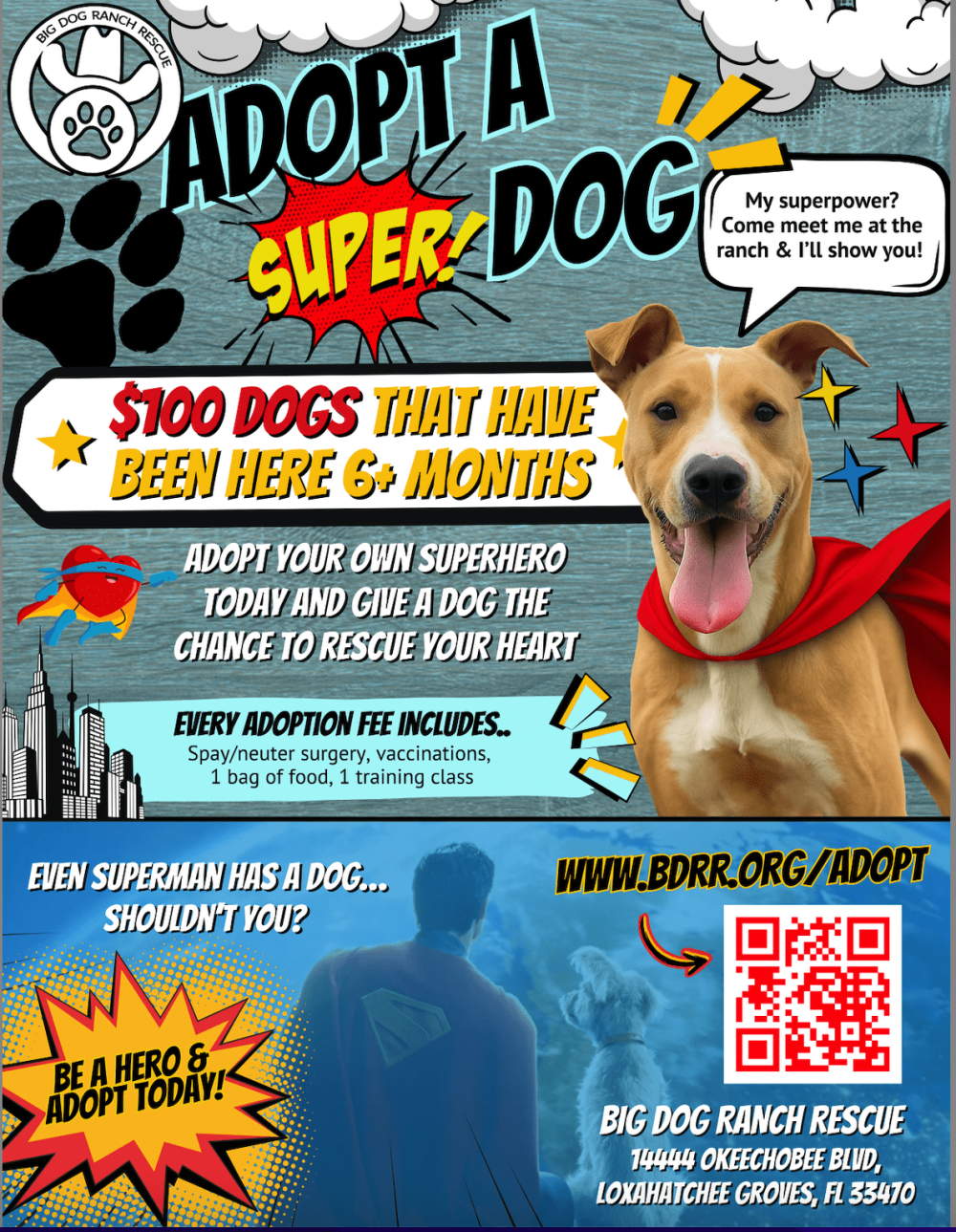 Adopt a Super Dog BDRR