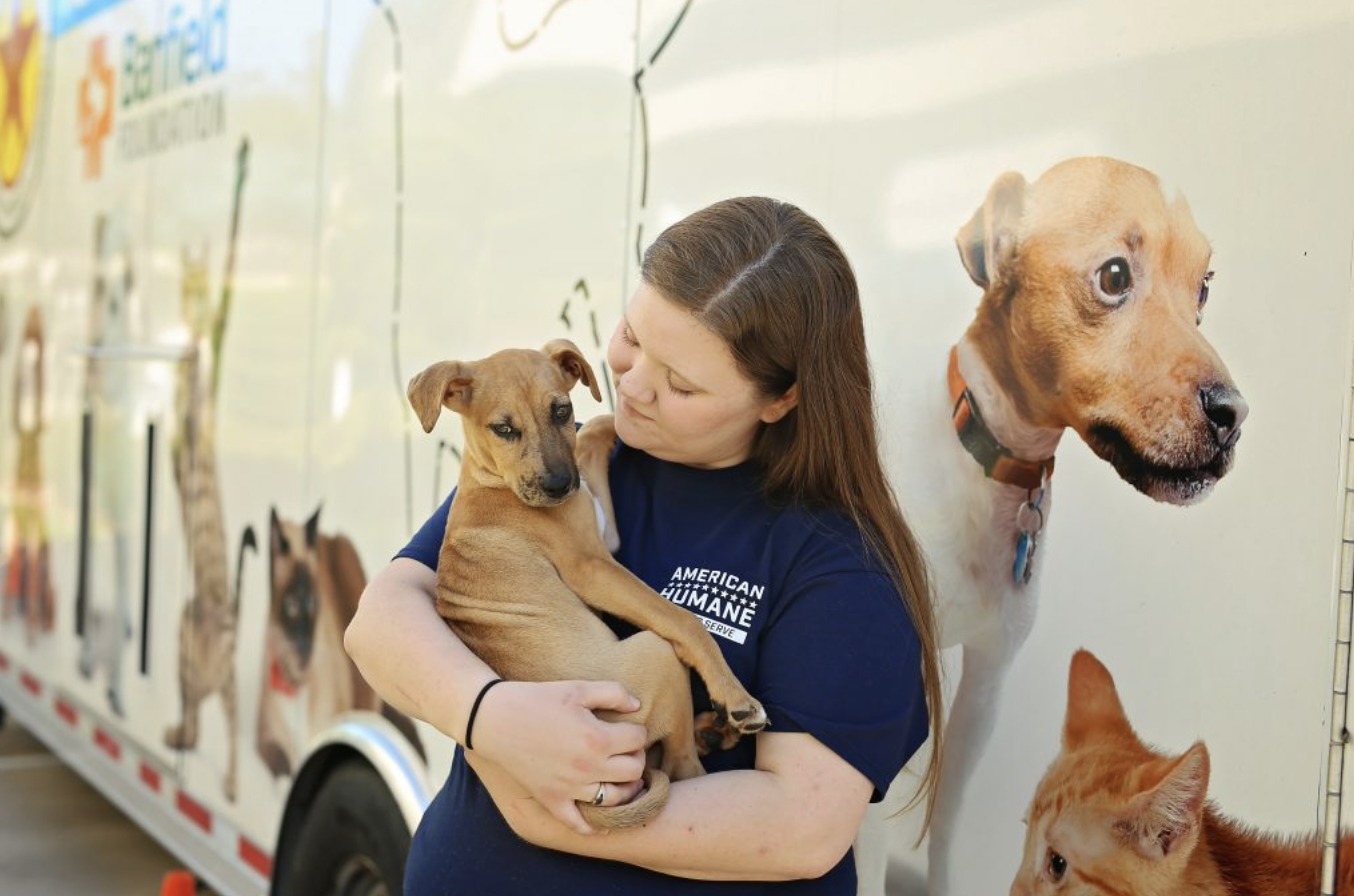 American Humane Society