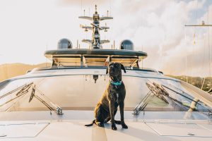 Captain Clark Yacht Captain Clark Yacht