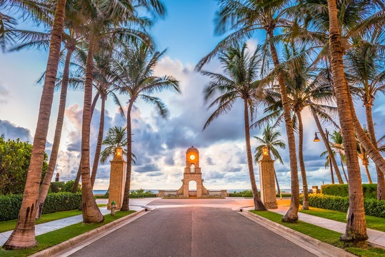 Palm Beach | Adobe Stock