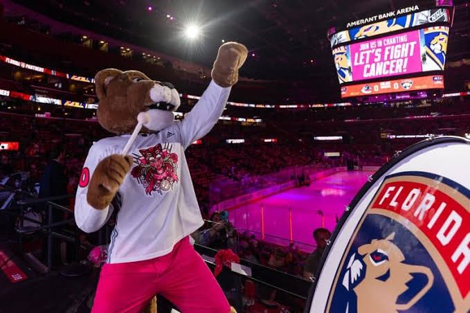 Promise Fund and Florida Panthers Pink at the Rink