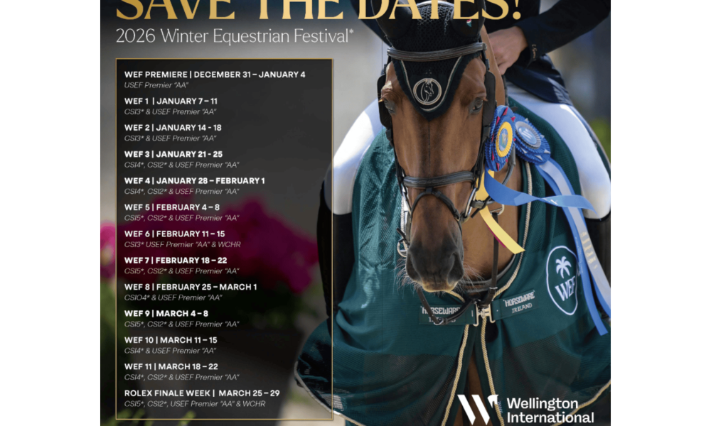 Screenshot 2025 09 08 110355 (2)