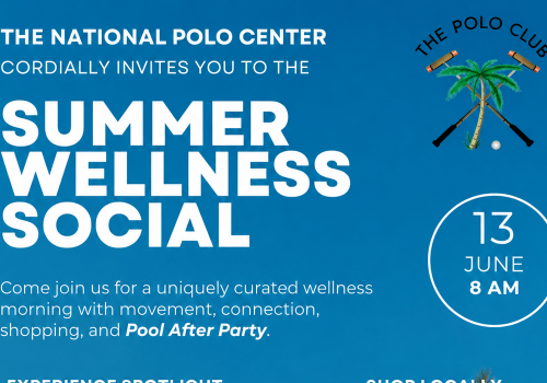 SUMMER SOCIAL NPC