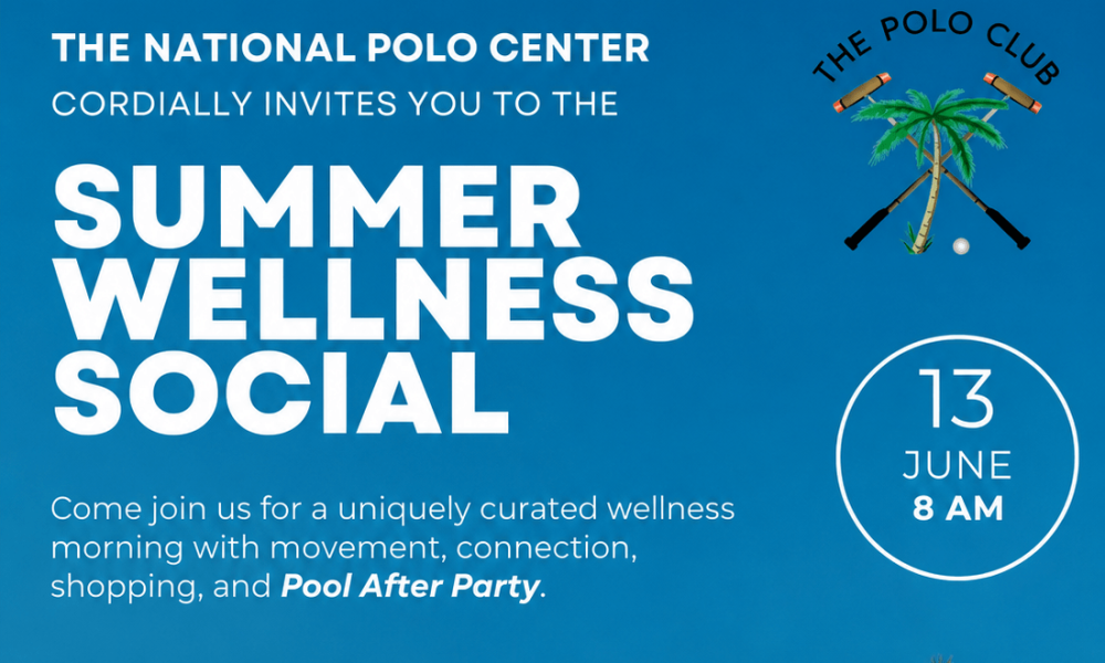 SUMMER SOCIAL NPC