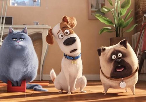 CC Secret Life of Pets